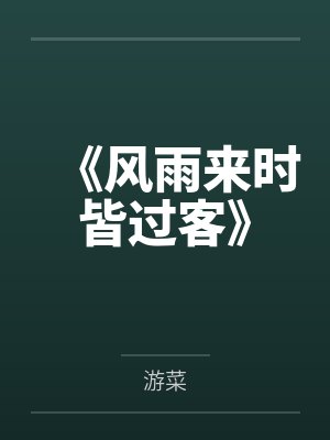 《风雨来时皆过客》