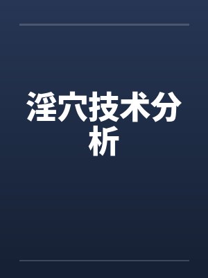 淫穴技术分析