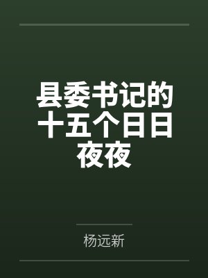 县委书记的十五个日日夜夜