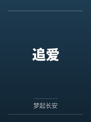 追爱