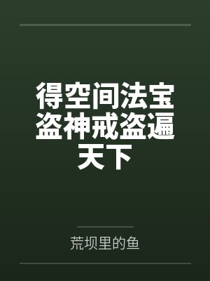 得空间法宝盗神戒盗遍天下