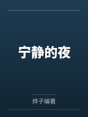 宁静的夜