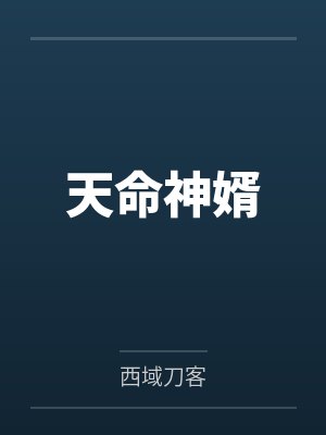 天命神婿